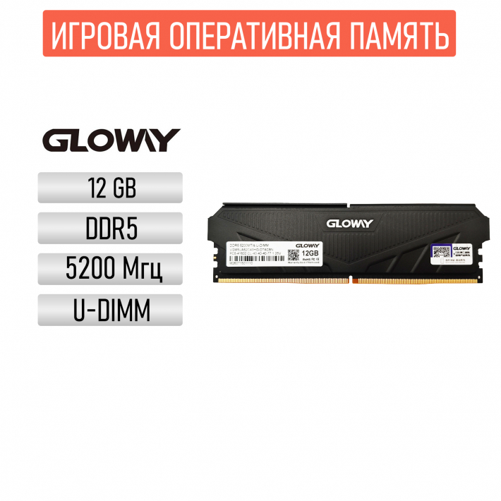 Оперативная память Gloway, DDR5, 12GB, 5200 MHz, CL40